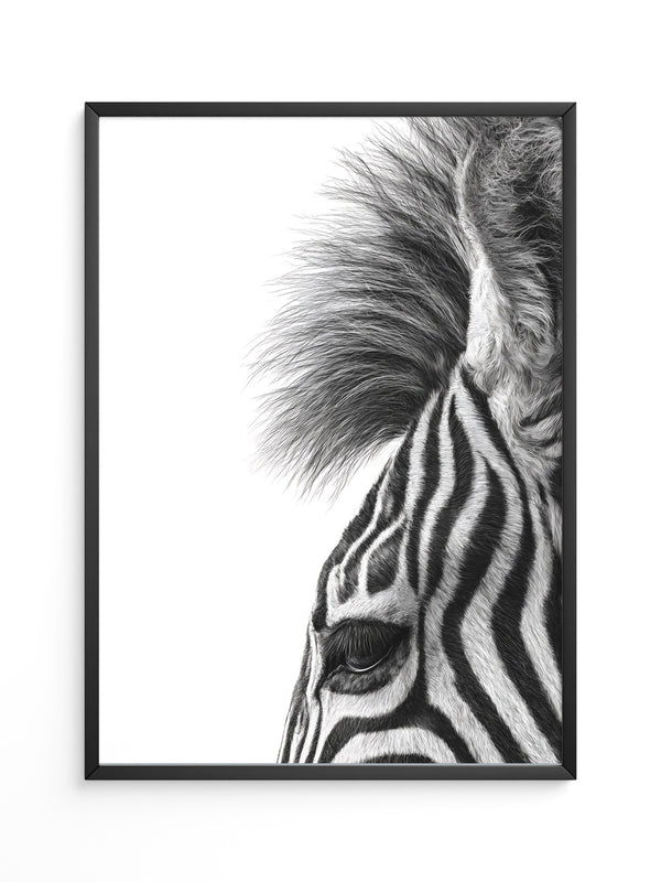 Zebra Detail Schwarzweiß