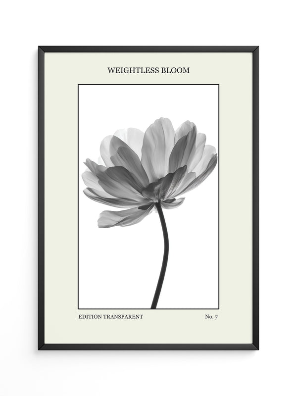 Blume Schwarz Weiß Transparent