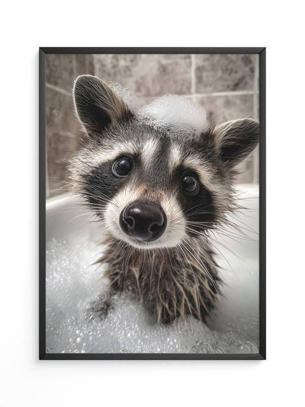 Waschbär Seifenschaum Nahaufnahme