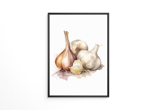 Zwiebeln und Knoblauch Aquarell