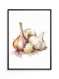 Zwiebeln und Knoblauch Aquarell