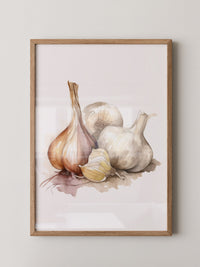 Zwiebeln und Knoblauch Aquarell