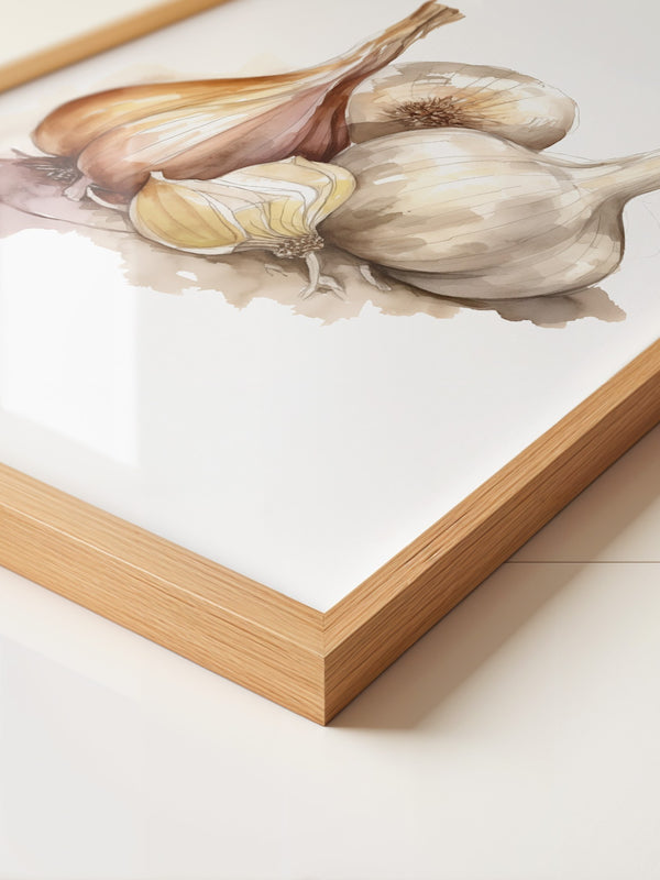 Zwiebeln und Knoblauch Aquarell