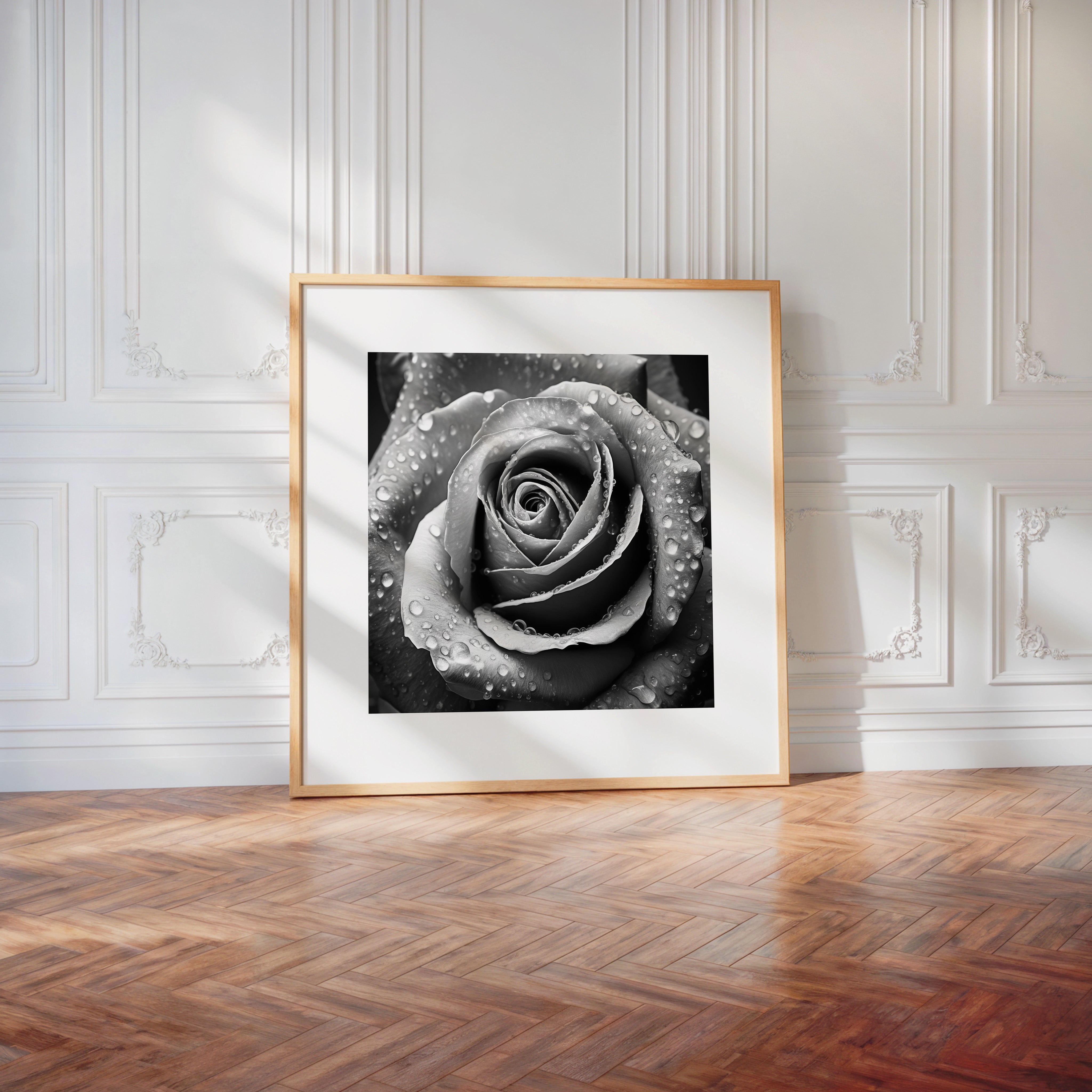 Rose Nahaufnahme Wassertropfen S/W