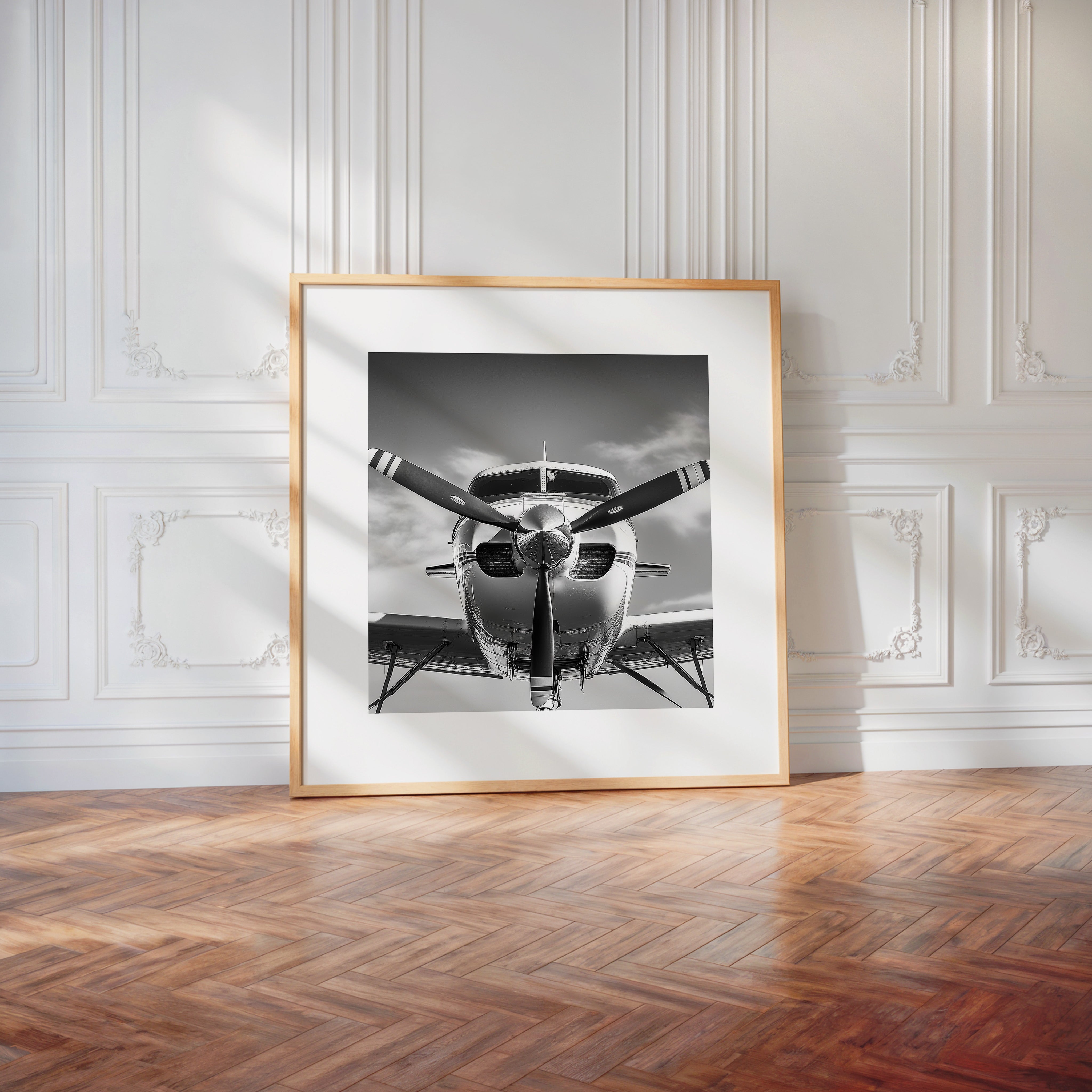 Flugzeug Propeller Frontalansicht S/W