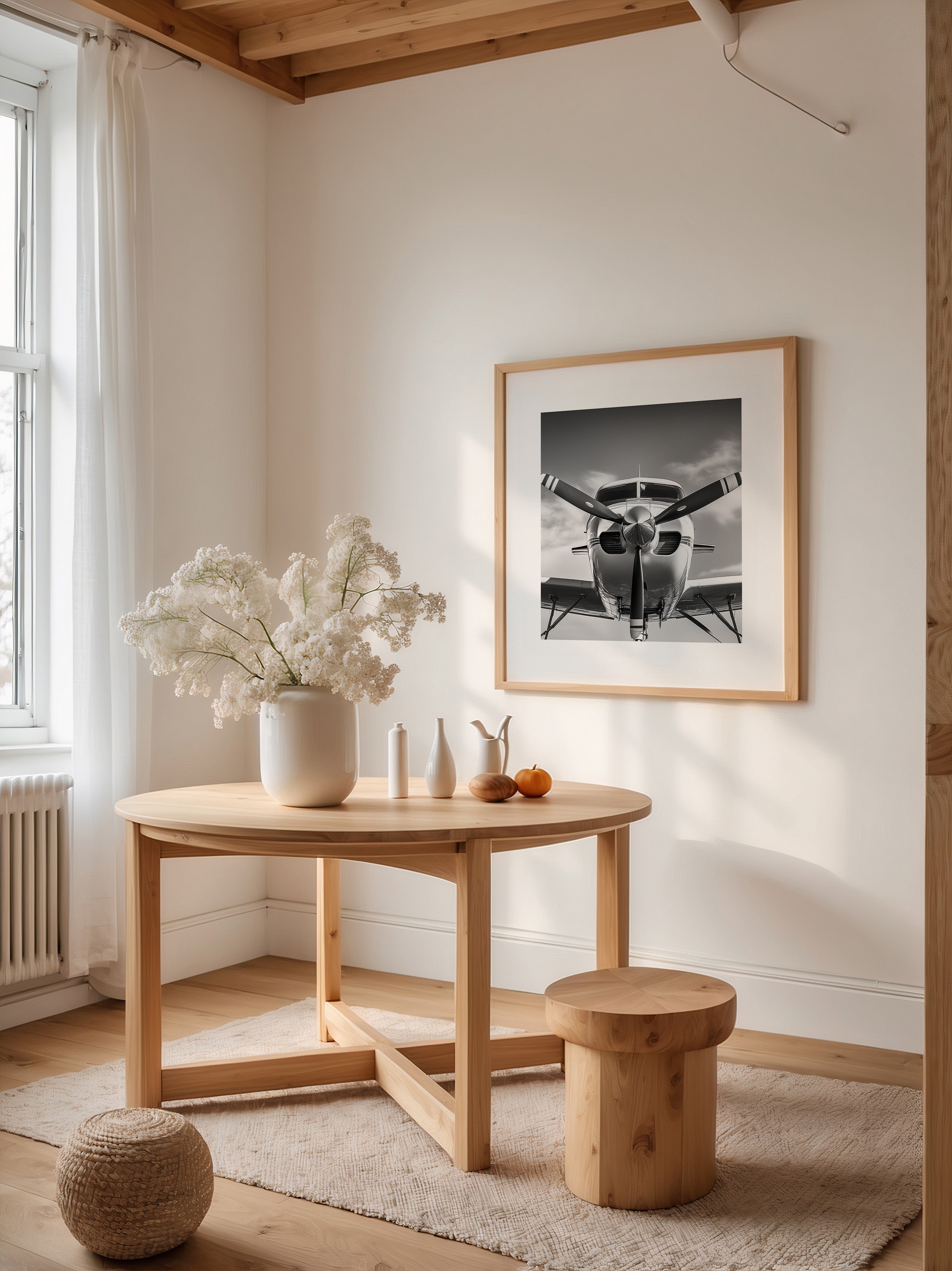 Flugzeug Propeller Frontalansicht S/W