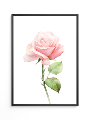 Rosenblüte Pastell Aquarell