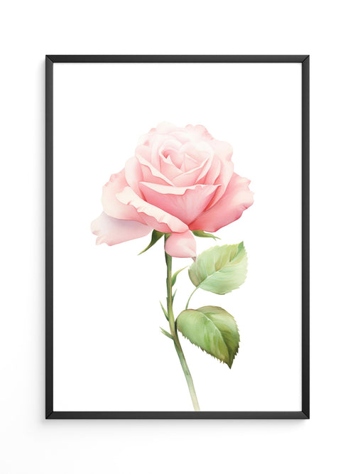 Rosenblüte Pastell Aquarell