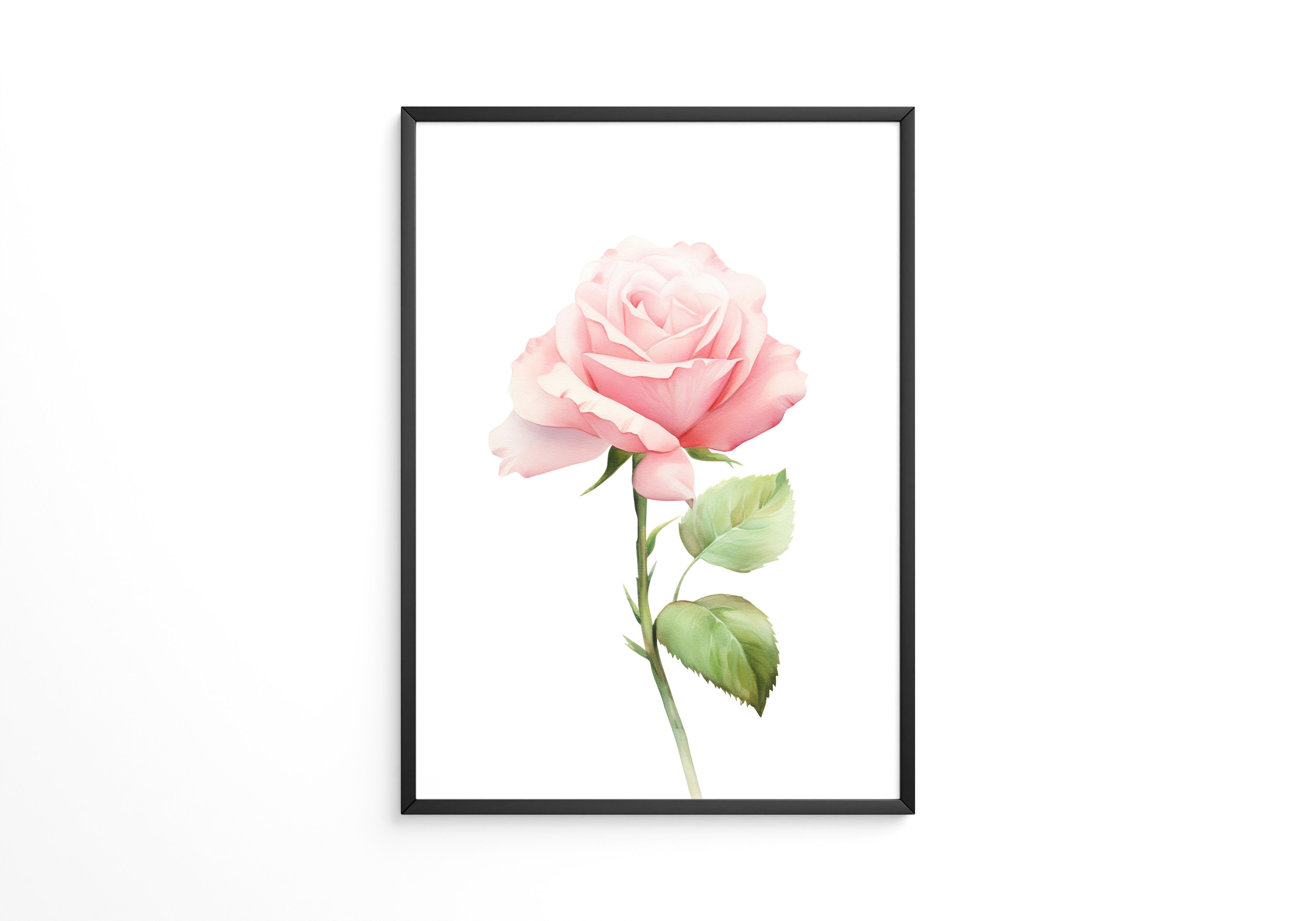 Rosenblüte Pastell Aquarell