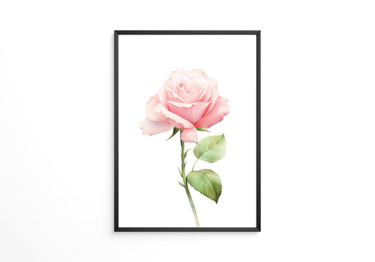 Rosenblüte Pastell Aquarell