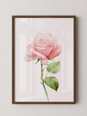 Rosenblüte Pastell Aquarell