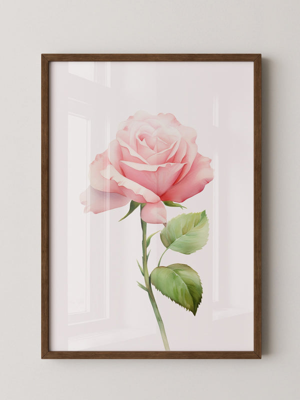 Rosenblüte Pastell Aquarell