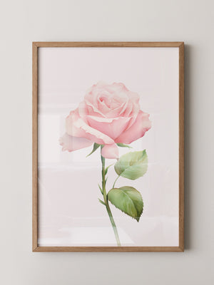 Rosenblüte Pastell Aquarell
