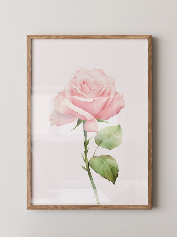 Rosenblüte Pastell Aquarell