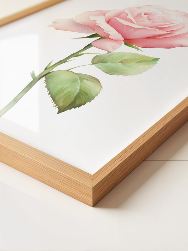 Rosenblüte Pastell Aquarell