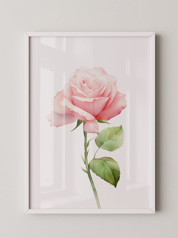 Rosenblüte Pastell Aquarell
