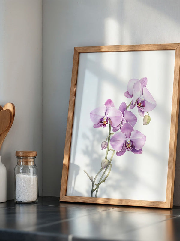 Orchideen Pastell Eleganz