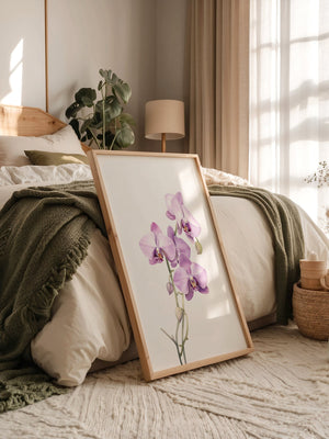 Orchideen Pastell Eleganz