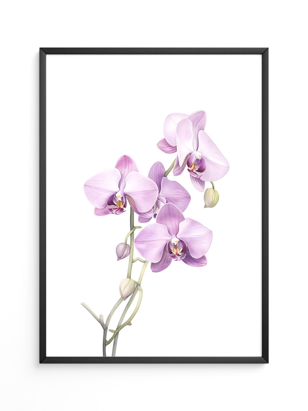 Orchideen Pastell Eleganz