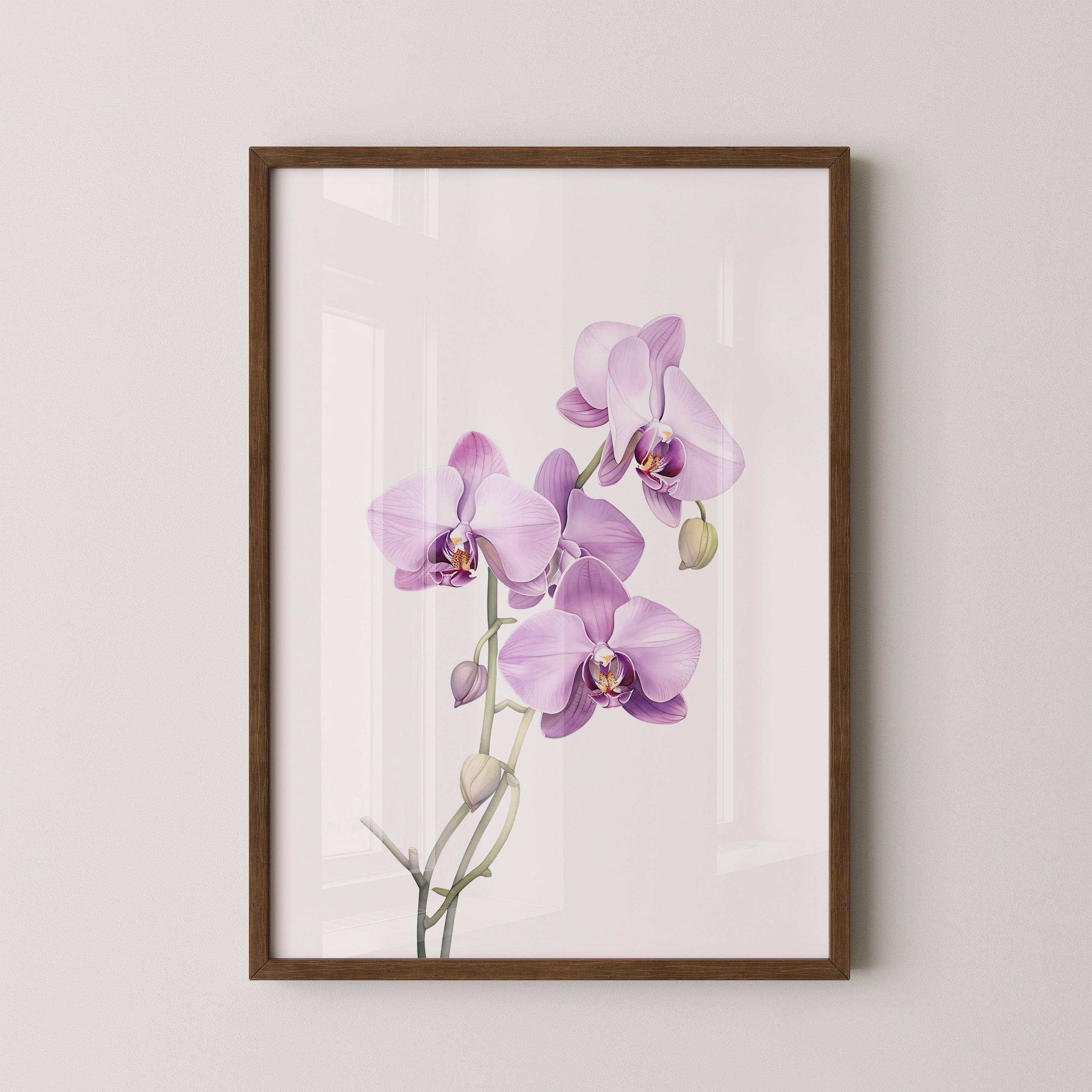 Orchideen Pastell Eleganz