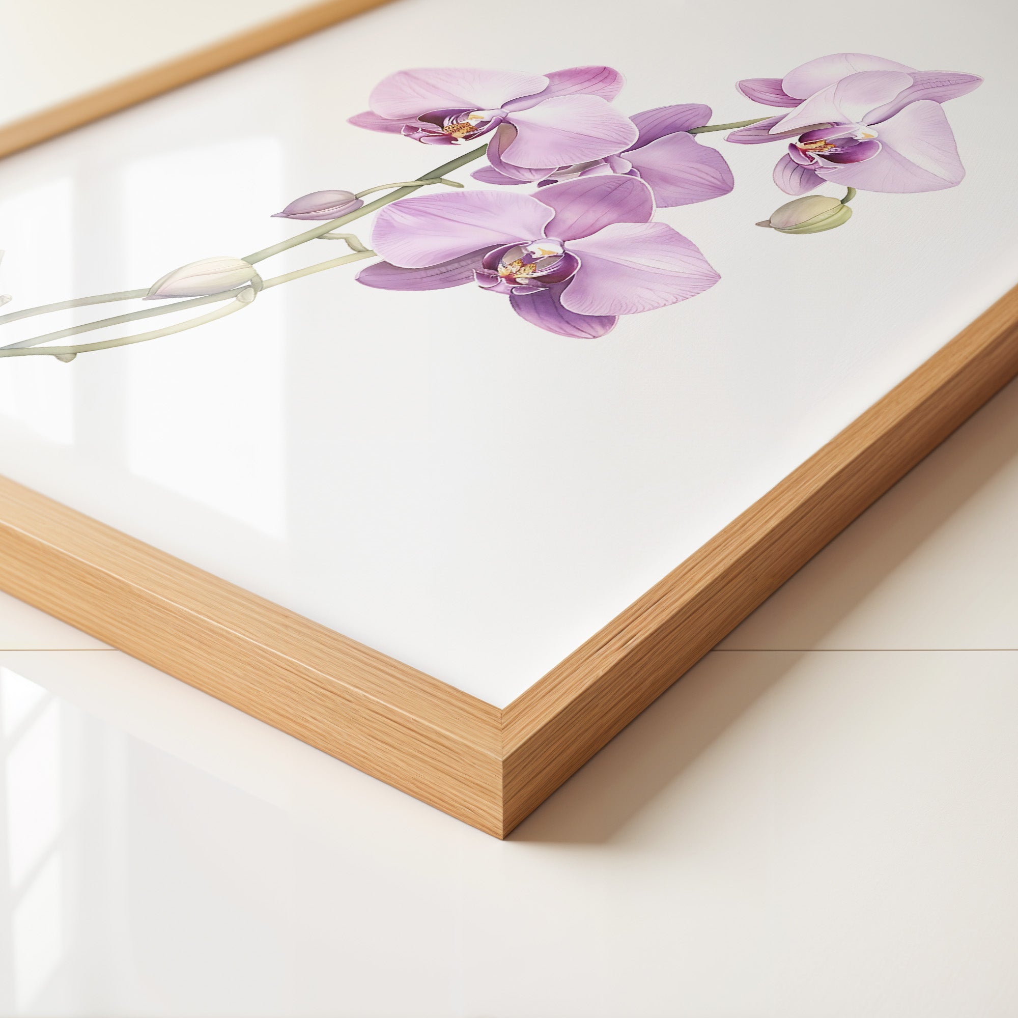 Orchideen Pastell Eleganz