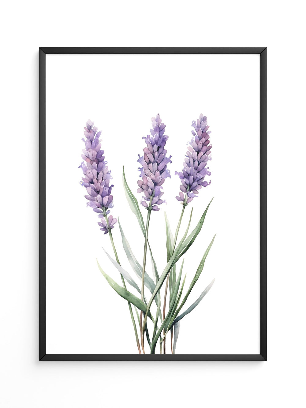 Lavendel Aquarell lila