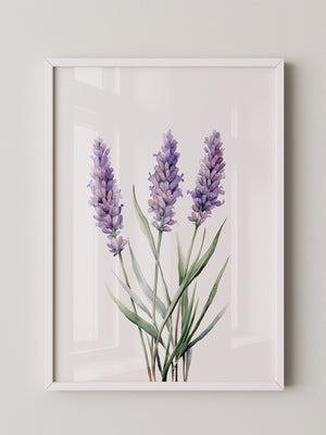 Lavendel Aquarell lila