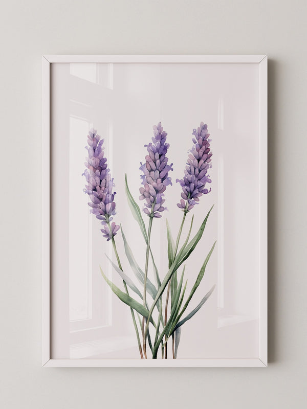 Lavendel Aquarell lila