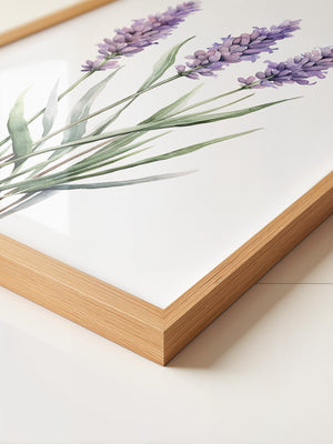 Lavendel Aquarell lila
