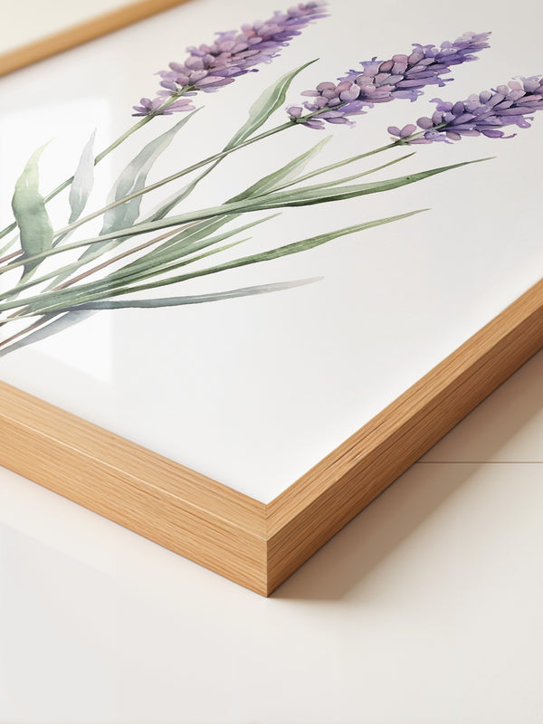 Lavendel Aquarell lila