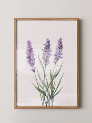 Lavendel Aquarell lila