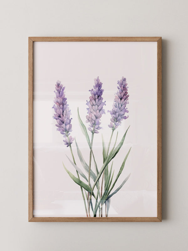 Lavendel Aquarell lila