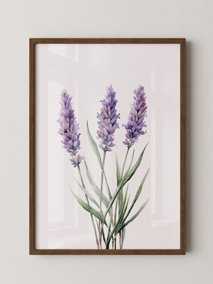 Lavendel Aquarell lila