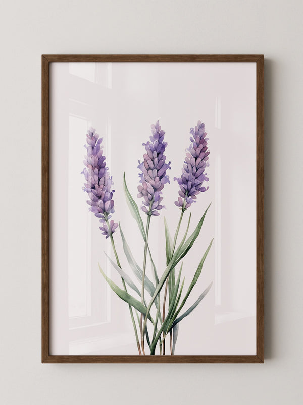 Lavendel Aquarell lila