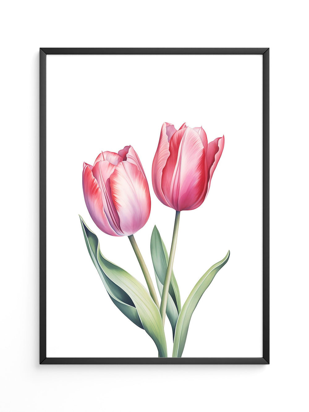 Tulpen Zartrosa Realismus