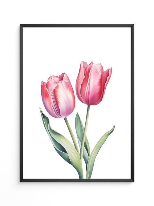 Tulpen Zartrosa Realismus