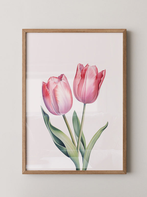 Tulpen Zartrosa Realismus