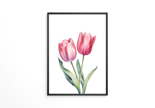 Tulpen Zartrosa Realismus