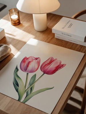 Tulpen Zartrosa Realismus
