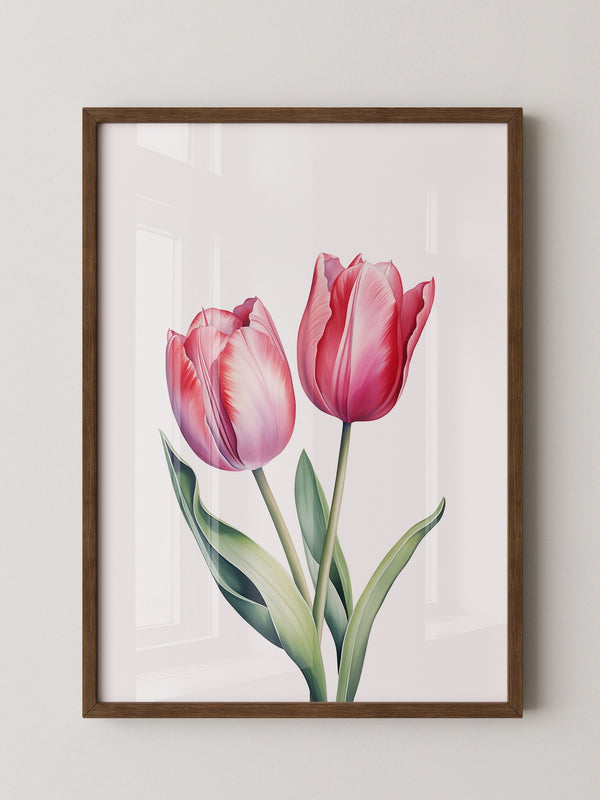 Tulpen Zartrosa Realismus