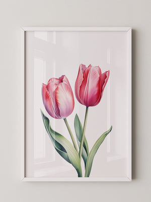 Tulpen Zartrosa Realismus