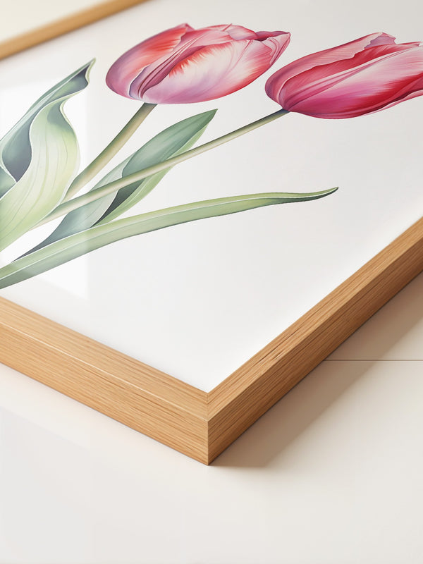 Tulpen Zartrosa Realismus