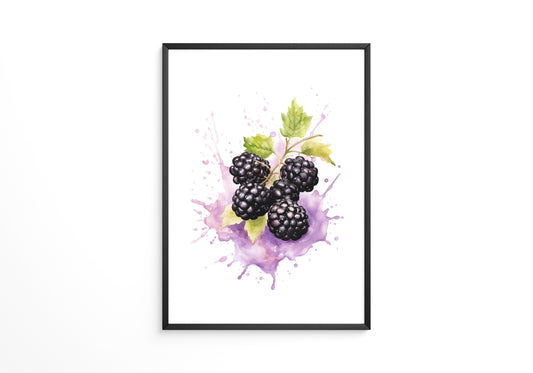 Brombeeren Aquarell Spritzer
