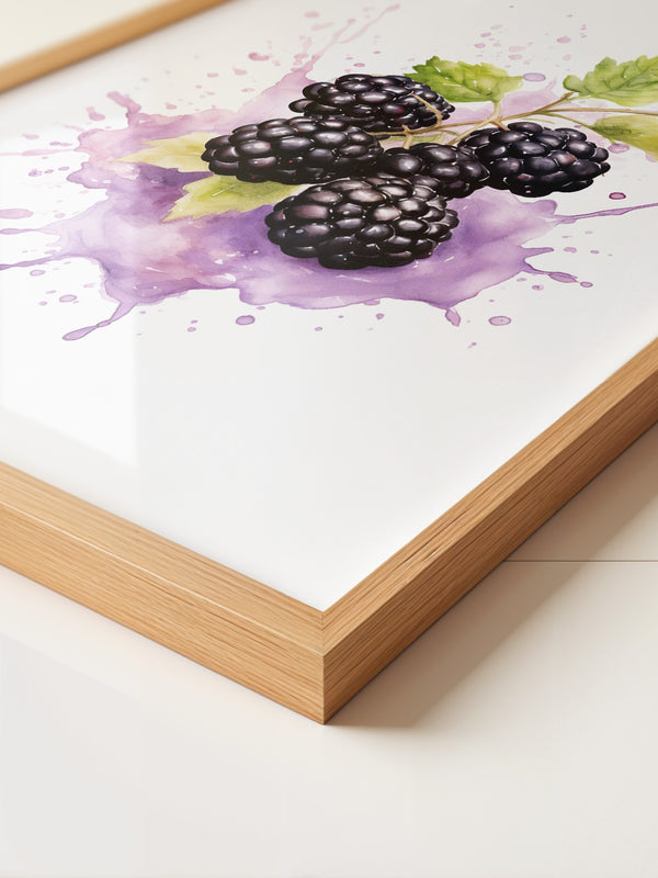 Brombeeren Aquarell Spritzer
