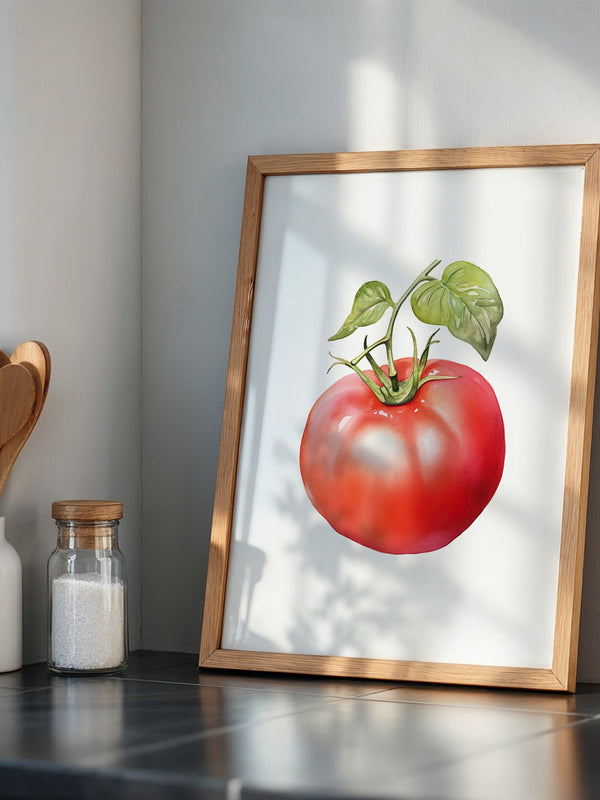 Tomate Aquarell saftig