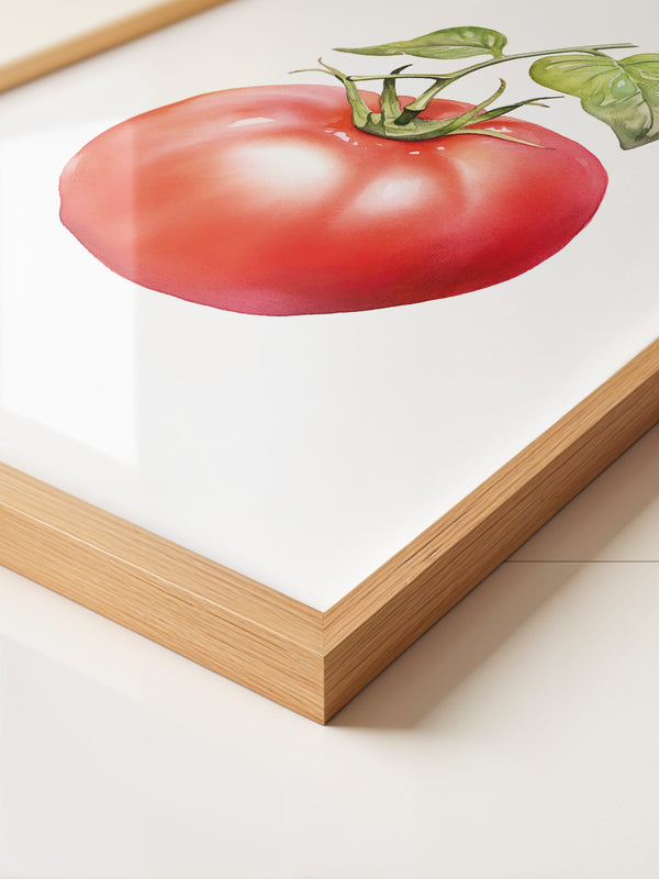 Tomate Aquarell saftig