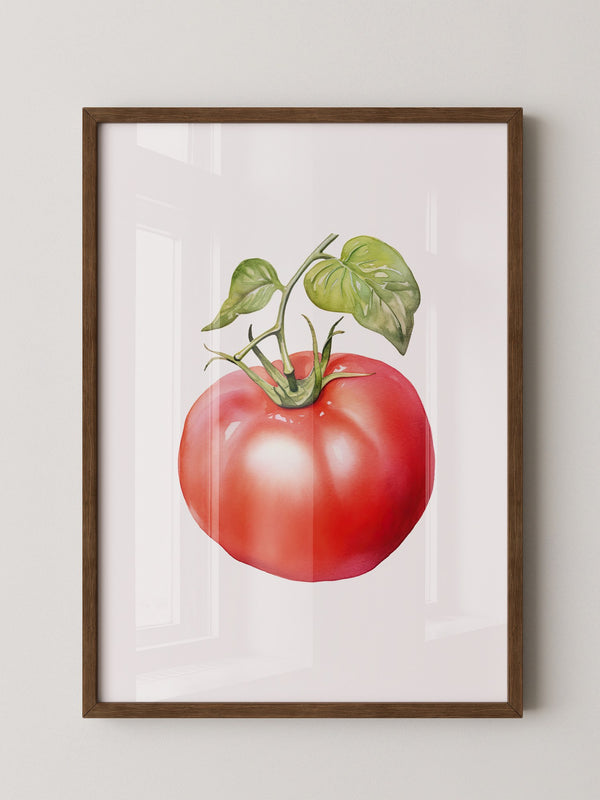 Tomate Aquarell saftig