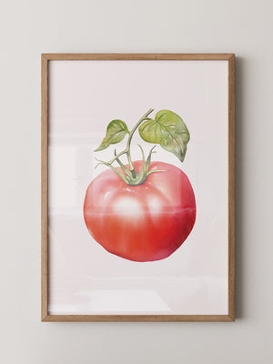 Tomate Aquarell saftig