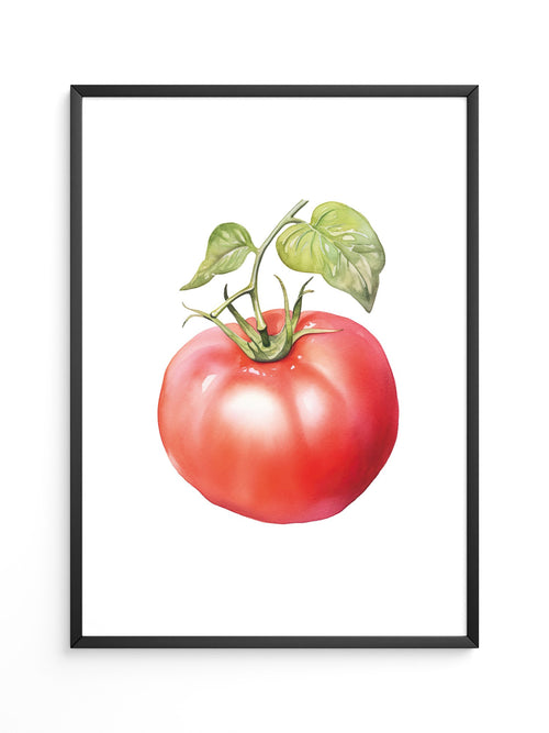 Tomate Aquarell saftig