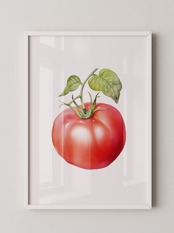 Tomate Aquarell saftig